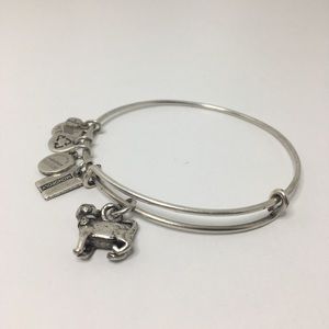 Alex and Ani bracelet